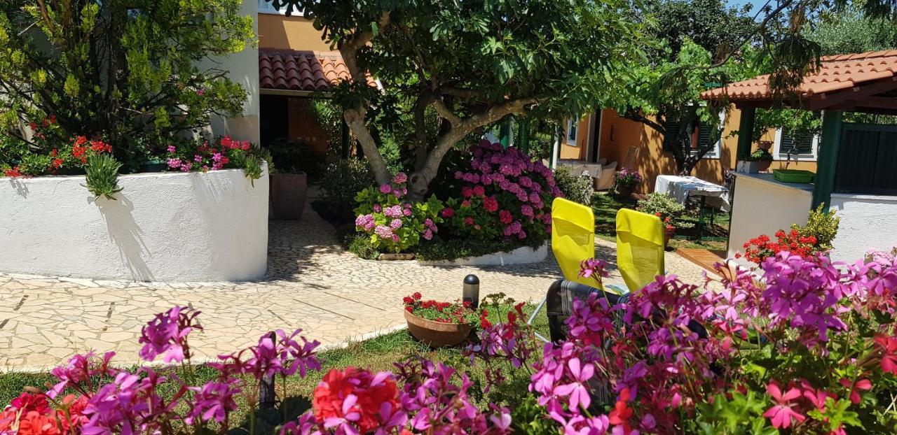 Guest House Bizjak Vinkuran Eksteriør bilde