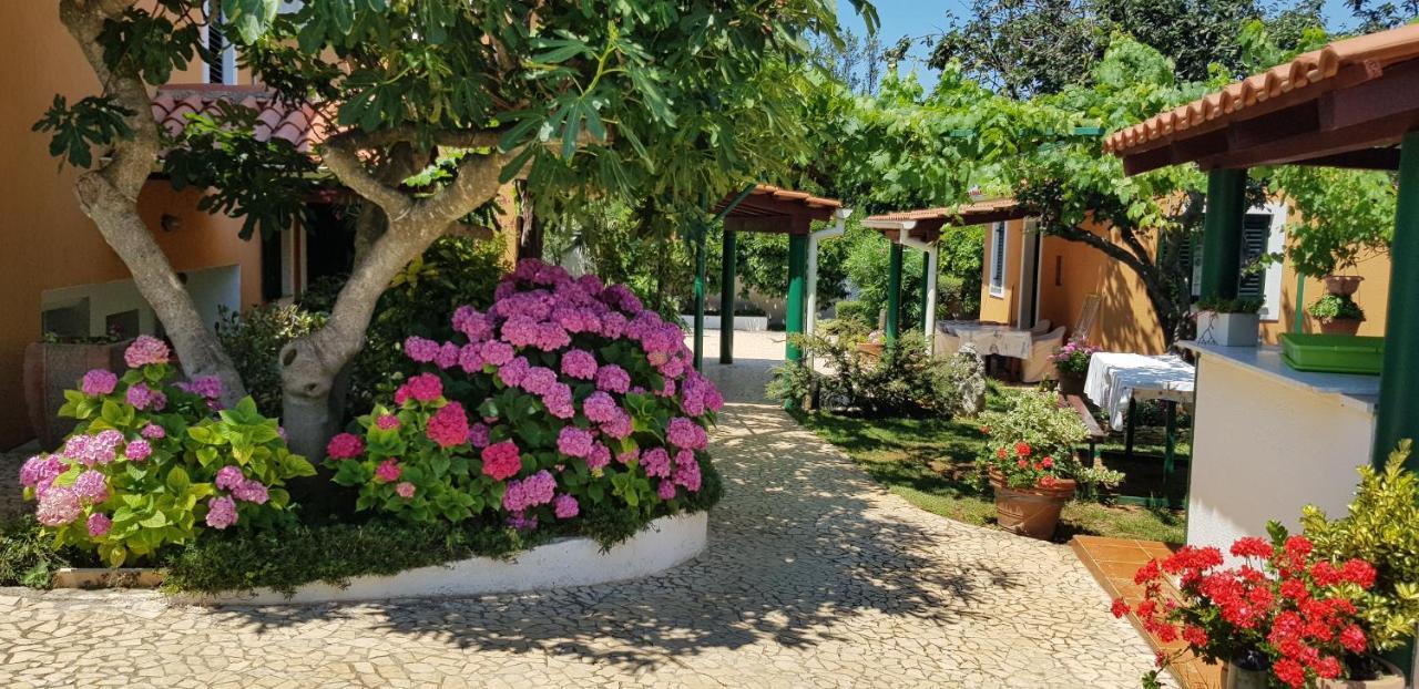 Guest House Bizjak Vinkuran Eksteriør bilde