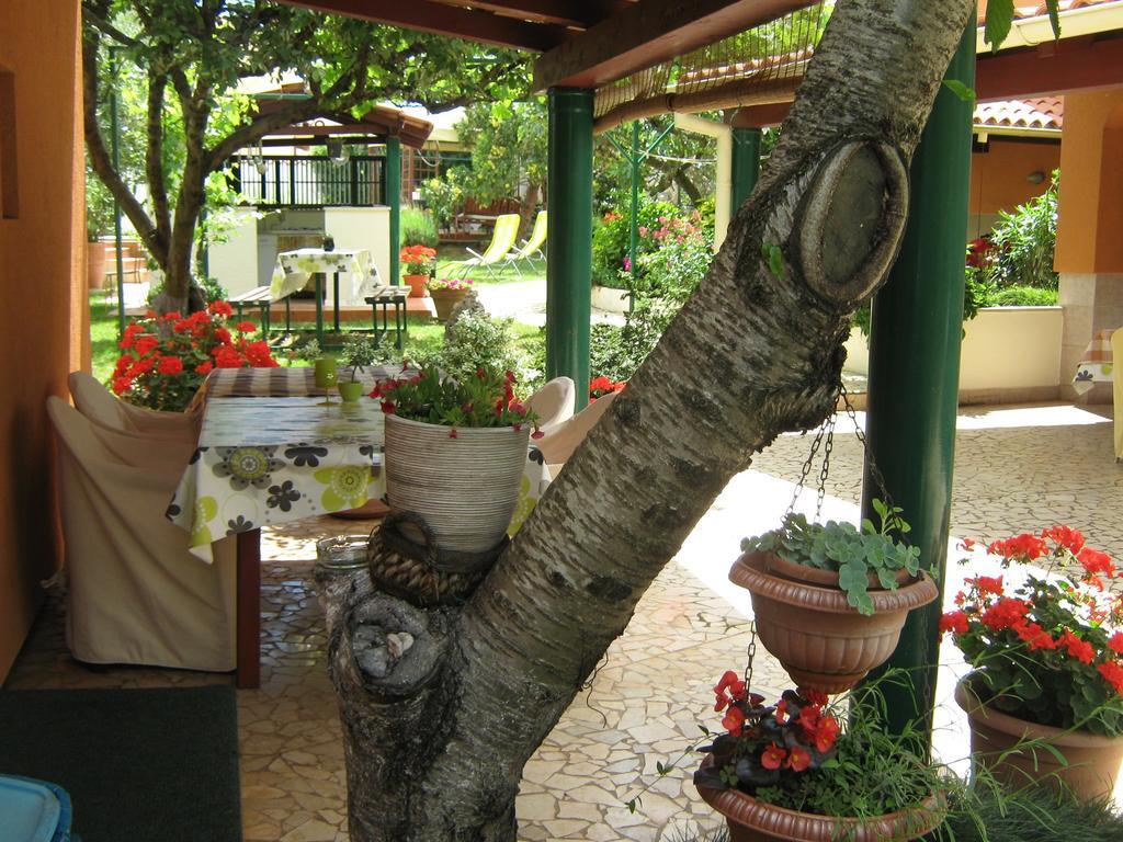 Guest House Bizjak Vinkuran Eksteriør bilde
